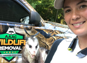 Wildlife removal owner beside a truck