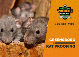 rat proofing in greensboro