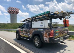 Greensboro Wildlife Removal truck