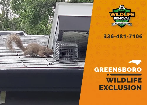 Squirrel trying to get through a one-way door in Greensboro