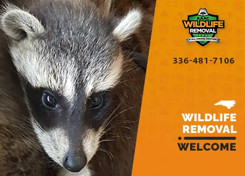 Welcome Wildlife Removal professional removing pest animal