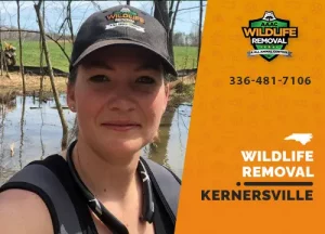 Kernersville Wildlife Removal professional removing pest animal
