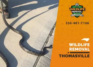 Thomasville Wildlife Removal professional removing pest animal
